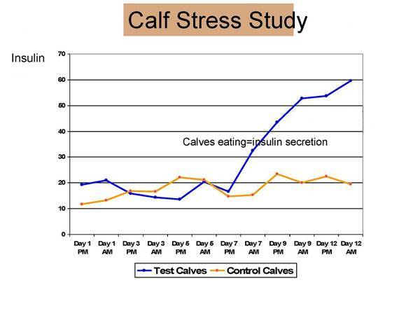 Calf stress graph