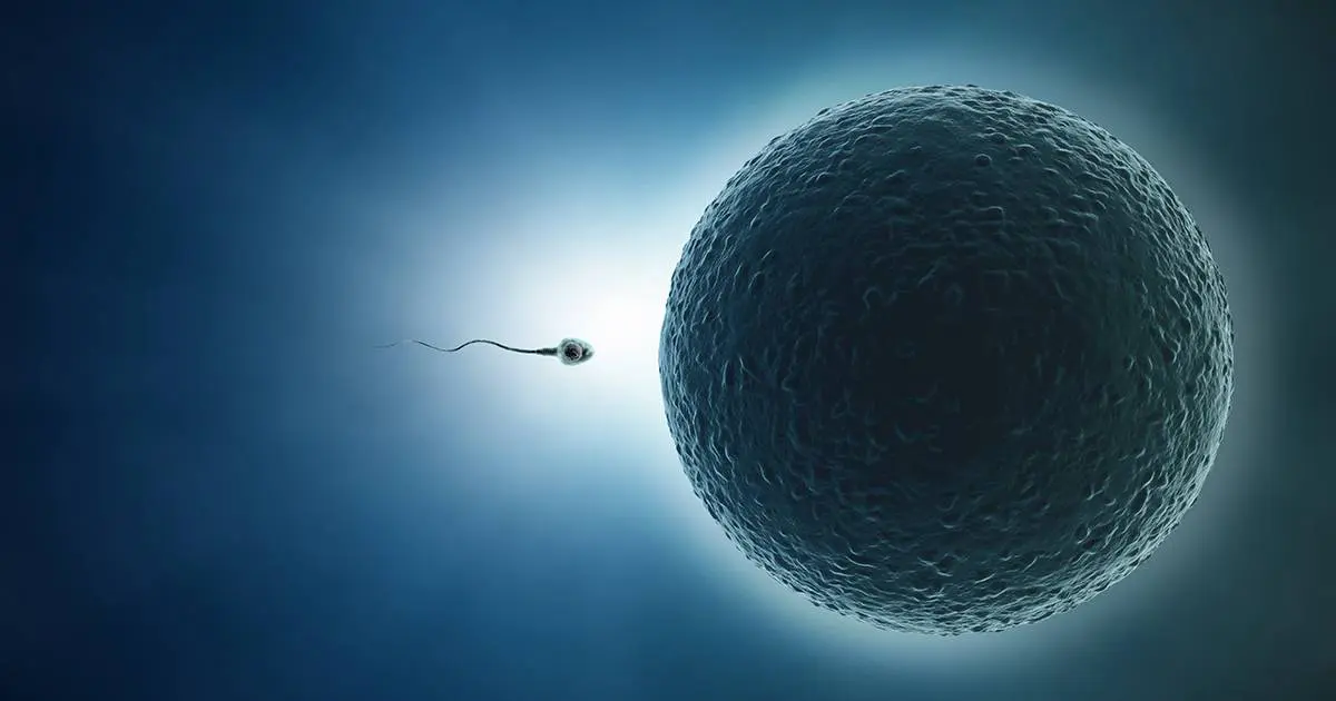 Reproduction and Fertility.