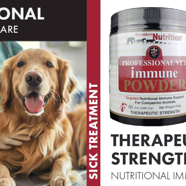 Vet Immune Professional Powder and Tabs. A powerful Transfer Factor Immunotherapy designed to support animals undergoing chemotherapy, surgery, or radiation. Enhance your pet's recovery with this vital adjunct treatment.