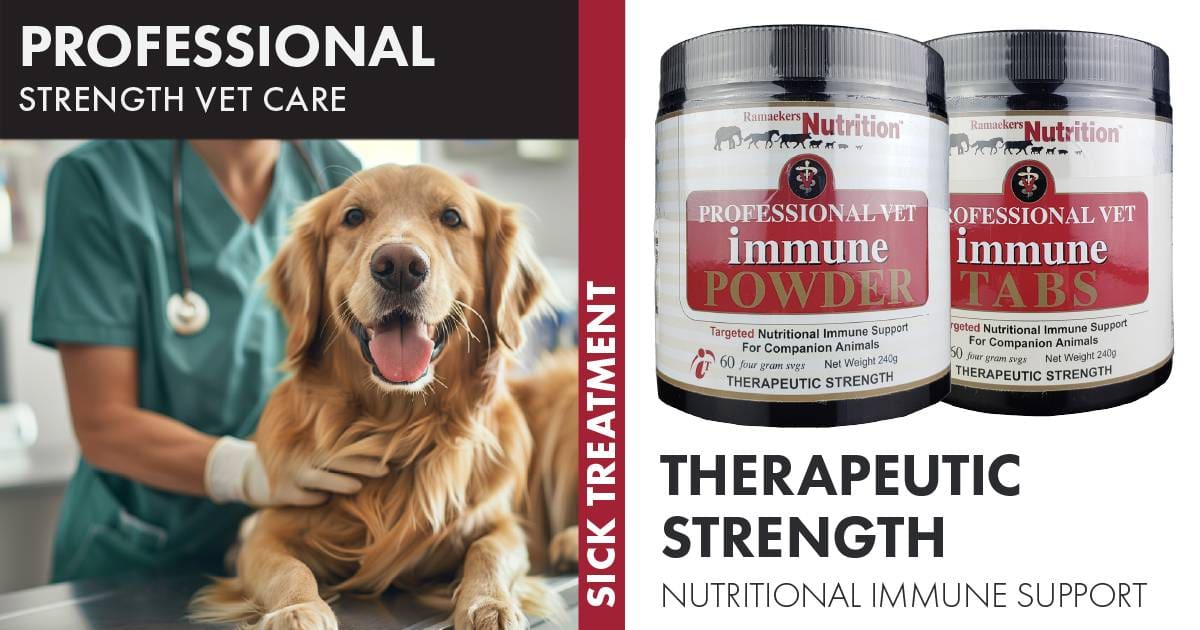 Vet Immune Professional Powder and Tabs. A powerful Transfer Factor Immunotherapy designed to support animals undergoing chemotherapy, surgery, or radiation. Enhance your pet's recovery with this vital adjunct treatment.