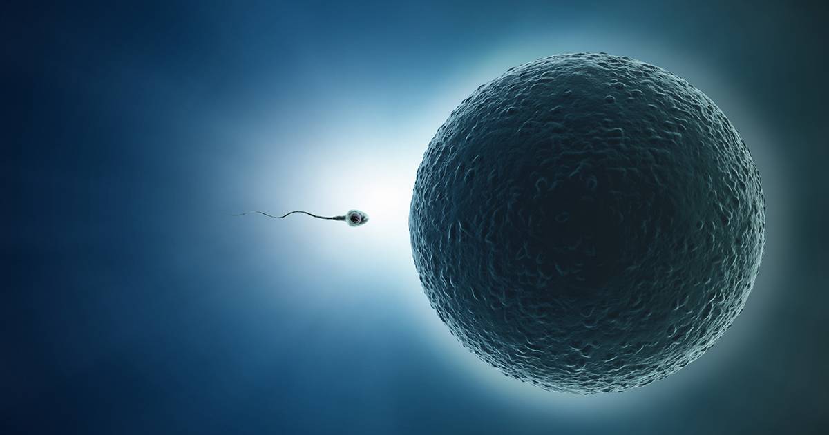 Reproduction and Fertility.