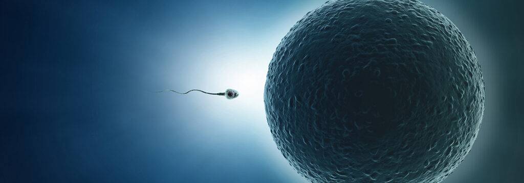 Reproduction and fertility.