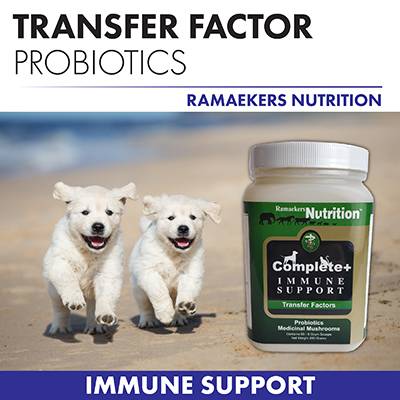 Complete+ Immune Support Powder
