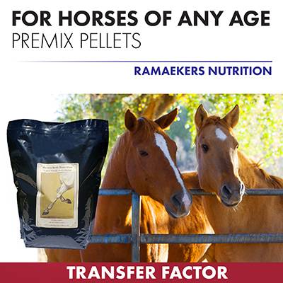 Our Equine Transfer Factor Premix Pellets can be administered as a natural catalyst or as an effective substitute for traditional Western medicine approaches to therapy and prevention.