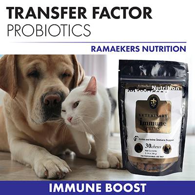 Vet Immune Chews begin enabling the development of a balanced and vigilant immune system, which can start at a very young age.