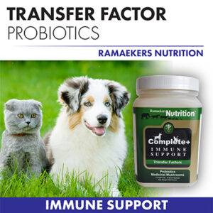 Complete+ Immune Support Powder