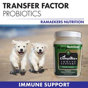Complete+ Immune Support Powder.
