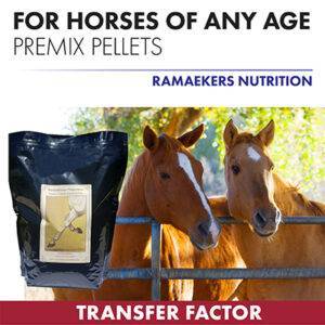 Equine Transfer Factor Premix Pellets.