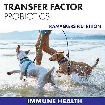 Ramaekers Nutrition. Shop Immune Support Enhancement products.