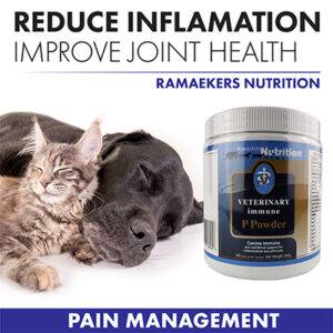 Vet Immune P Powder. Pain Management for middle-aged to senior dogs and cats. We're committed to a natural, less harmful approach to managing disease and promoting pet wellness. Our Veterinary Immune P Powder can be used alone or with other pain management therapy. It's a safe and natural pain reliever and anti-inflammatory.