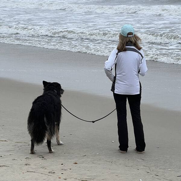 Featured Pet, Heinrich.