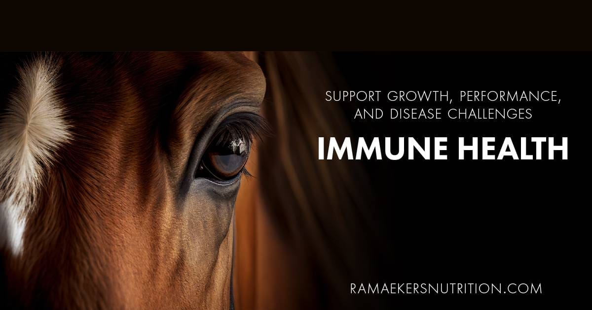 Equine Transfer Factor Premix Pellets are available for horses of any age. The Pellets are designed for your horse’s diet to support growth, performance, and disease challenges.
