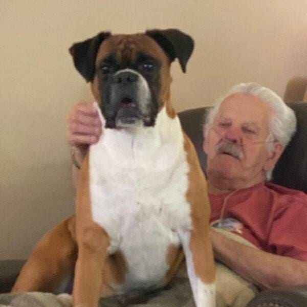 Featured Pet, Lincoln.