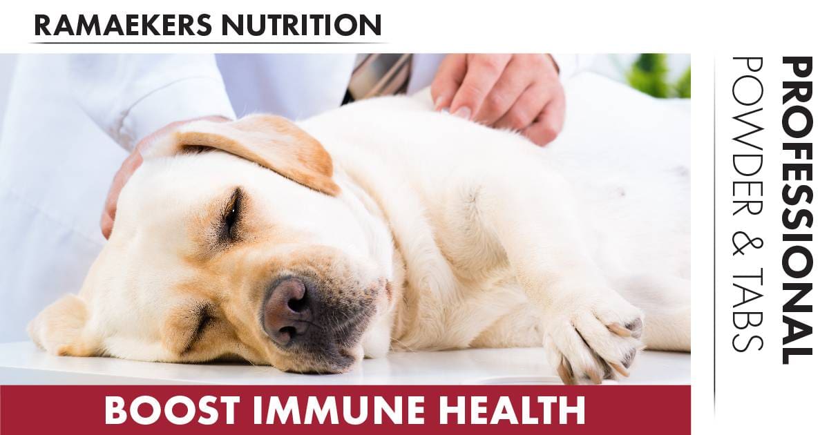 Ramaekers Nutrition. Professional Veterinary Immune Powder & Tabs.