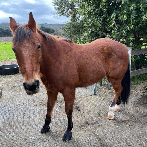 Bailey showing off his mani pedi.