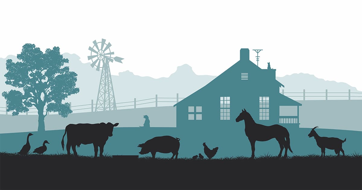 Introduction to Livestock Products.