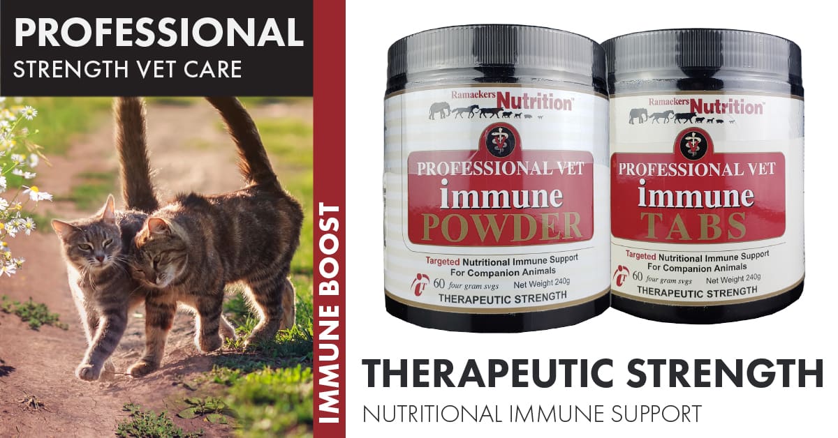Vet Immune Powder and Tabs. Feline Disease Treatment.