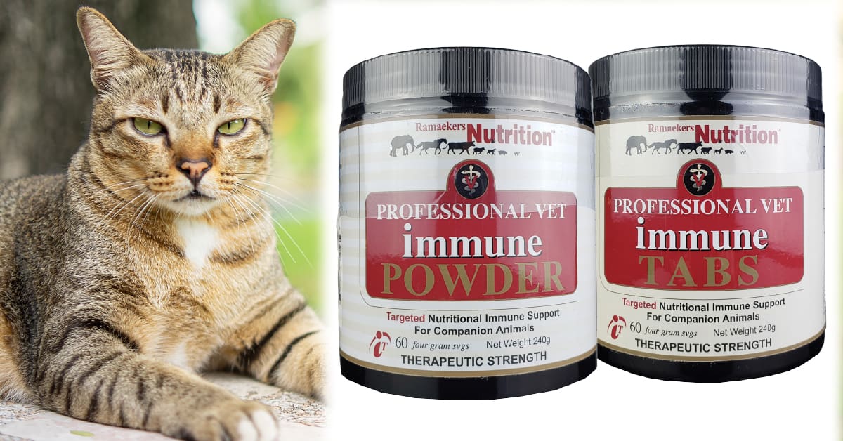 Vet Immune Professional Products. Feline Disease Treatment.