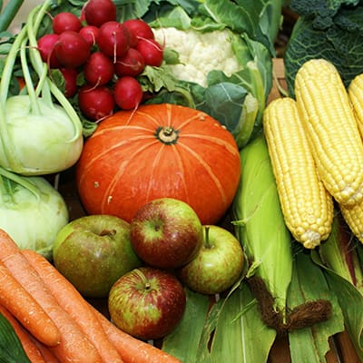 Healthy Well Balaced Diet.