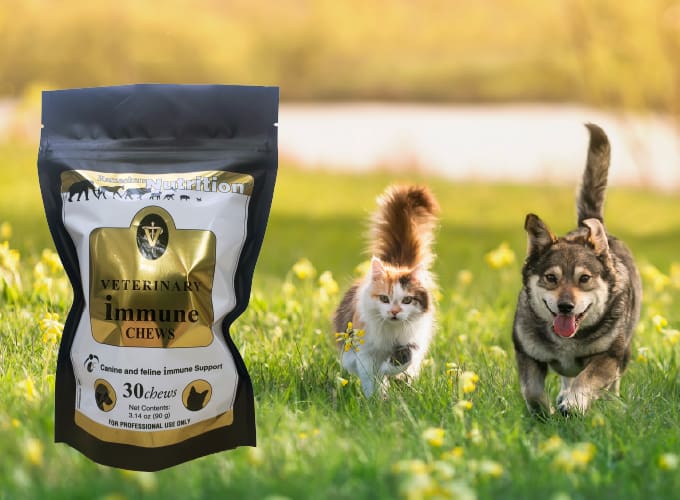 Healthy Treats. Vet Immune Chews.
