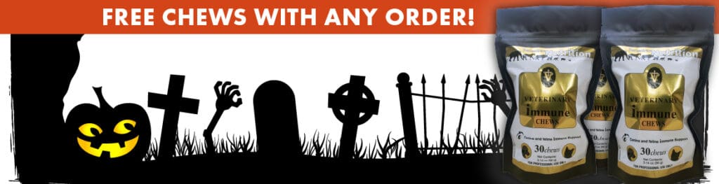 Halloween Treat Promo