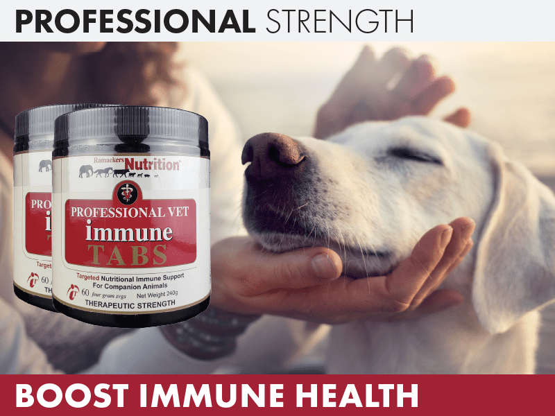 Vet Immune Professional Tabs Promo.