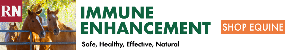 Equine Banner. Shop Equine.